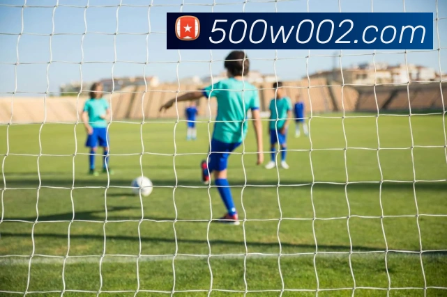 500万彩票网平台生态图